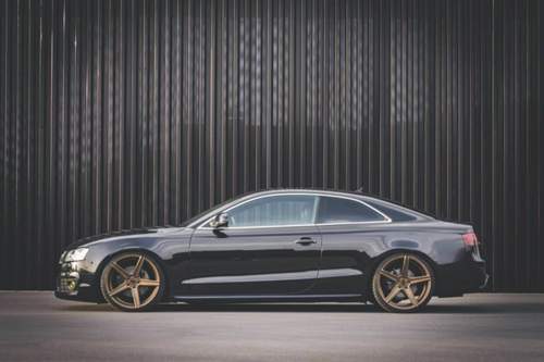 12419332-10208986561572195-8035132514469441611-o