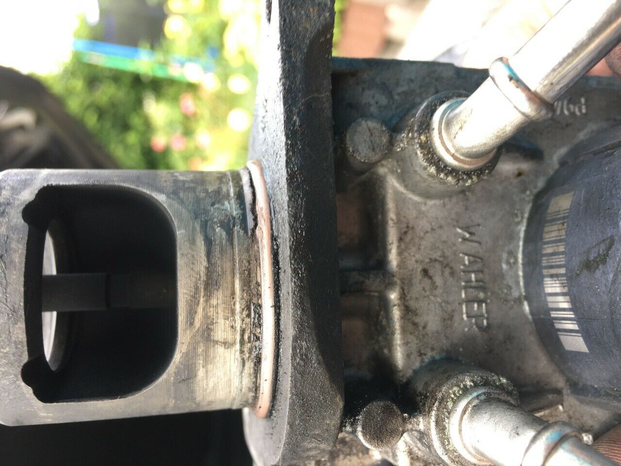 Sensor Abgasgegendruck defekt