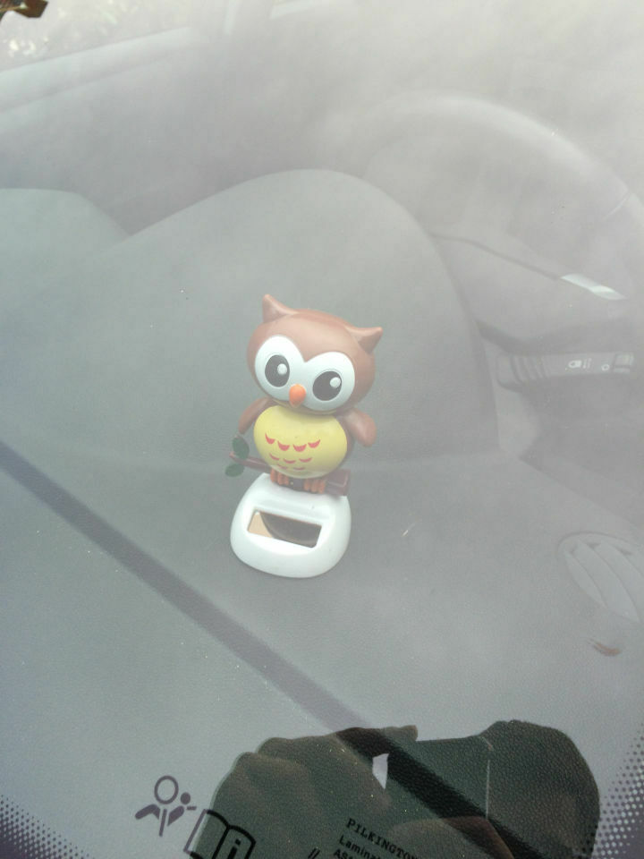 Der Schrottplatz - Spiegelsymmetrisch des Showrooms