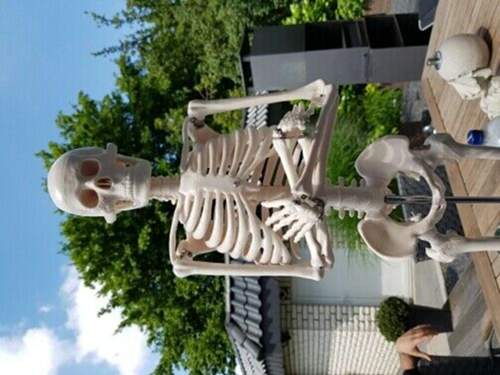 Bild-4121060560094643820