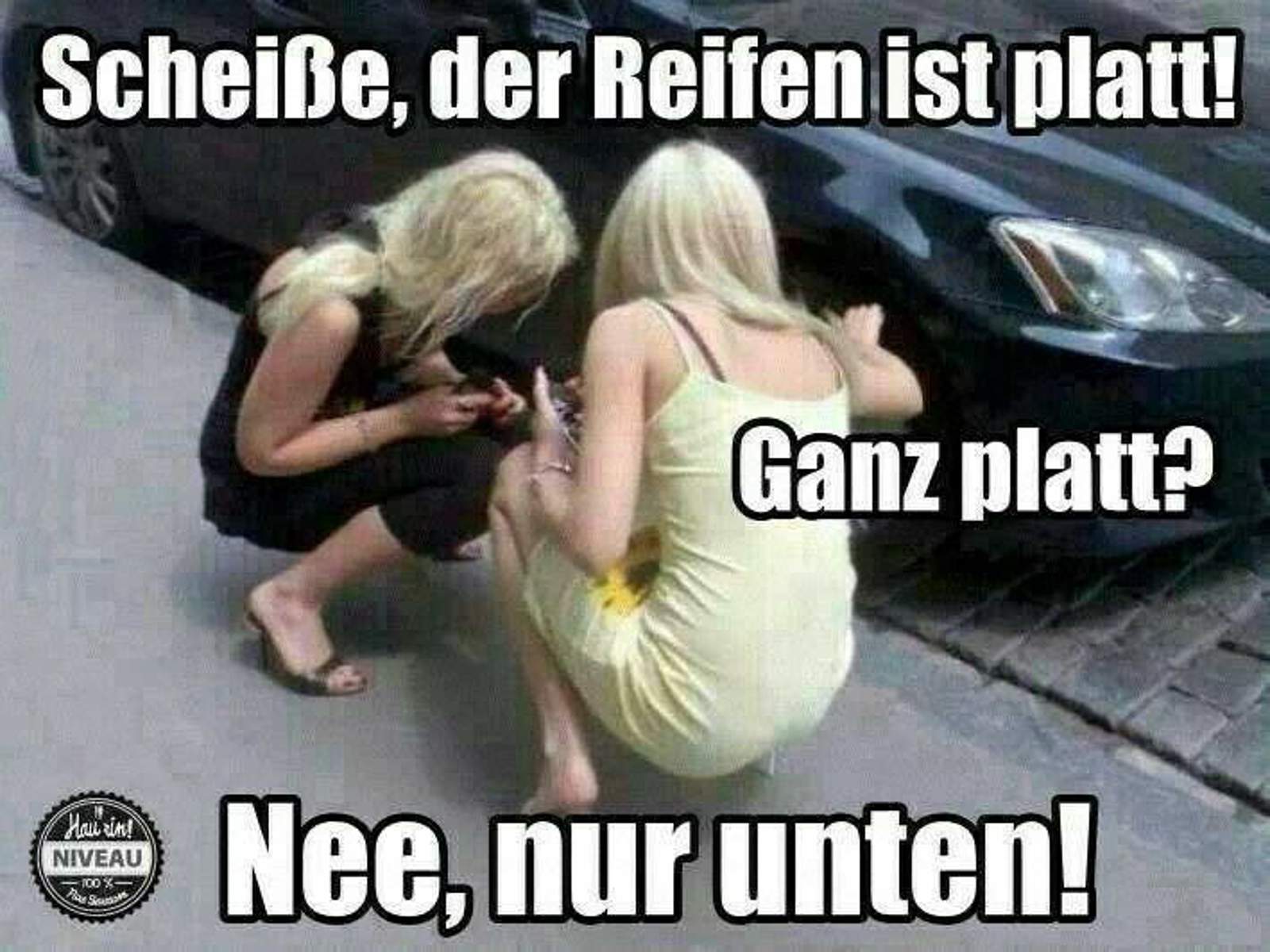 1508544-610118622356646-330547369-n