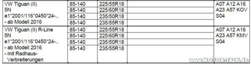 Auszug-gutachten-c12-in-8x18