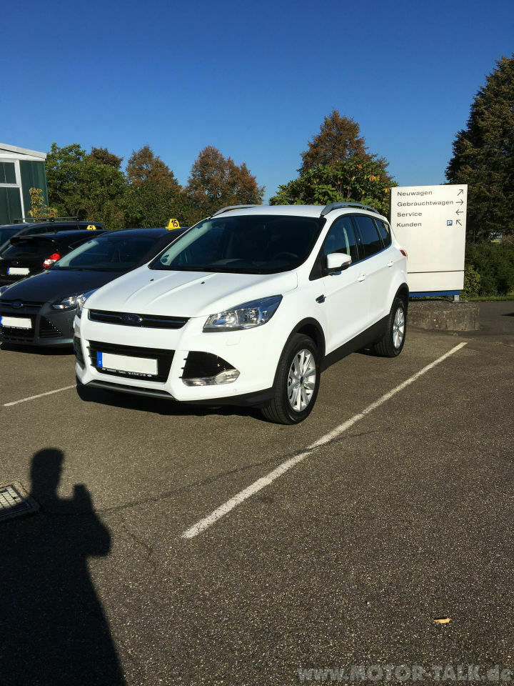 Der Berglöwe - Part II oder one more