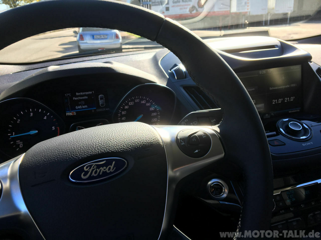 Der Berglöwe - Part II oder one more