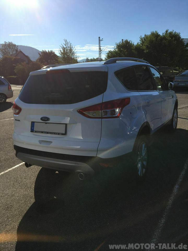 Der Berglöwe - Part II oder one more