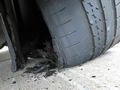 20160904-132405924-ios