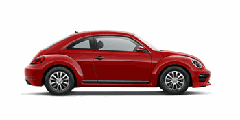 Get-your-beetle
