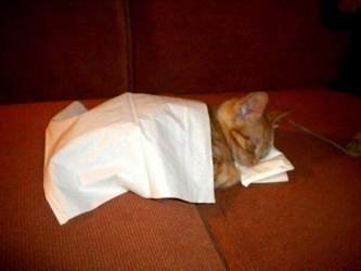 Imgsrc-ru-49126281xzs