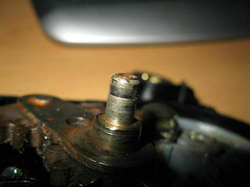 Kopieren-von-img-2567