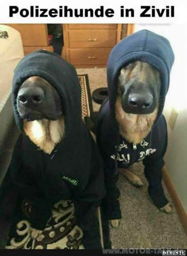 967a026a557a6cd14c31f433cffa89af