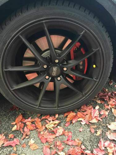 So sch&ouml;n es aussieht: Leider nur Bl&auml;tter, kein Schnee