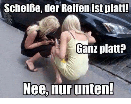 Scheibe-der-reifen-ist-platt-ganz-platt-nee-unten-3281396