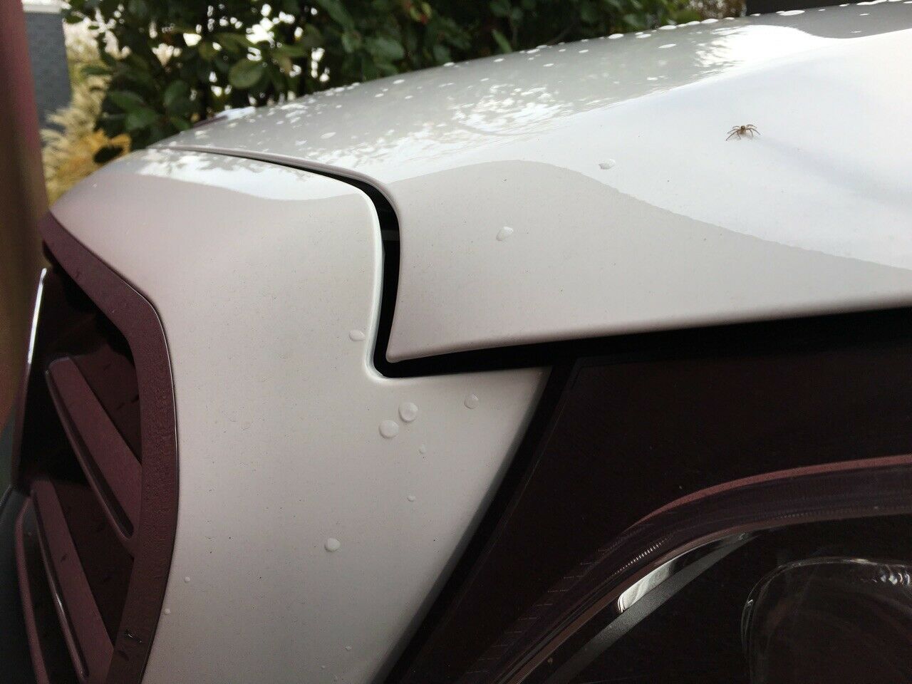 Spaltmaße Motorhaube über Scheinwerfer (Blick von der Seite)