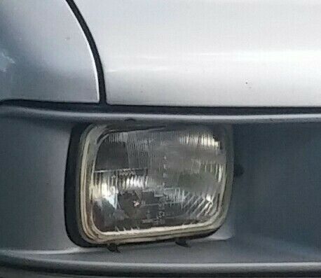 Wer bin ich? Das Exoten-raten