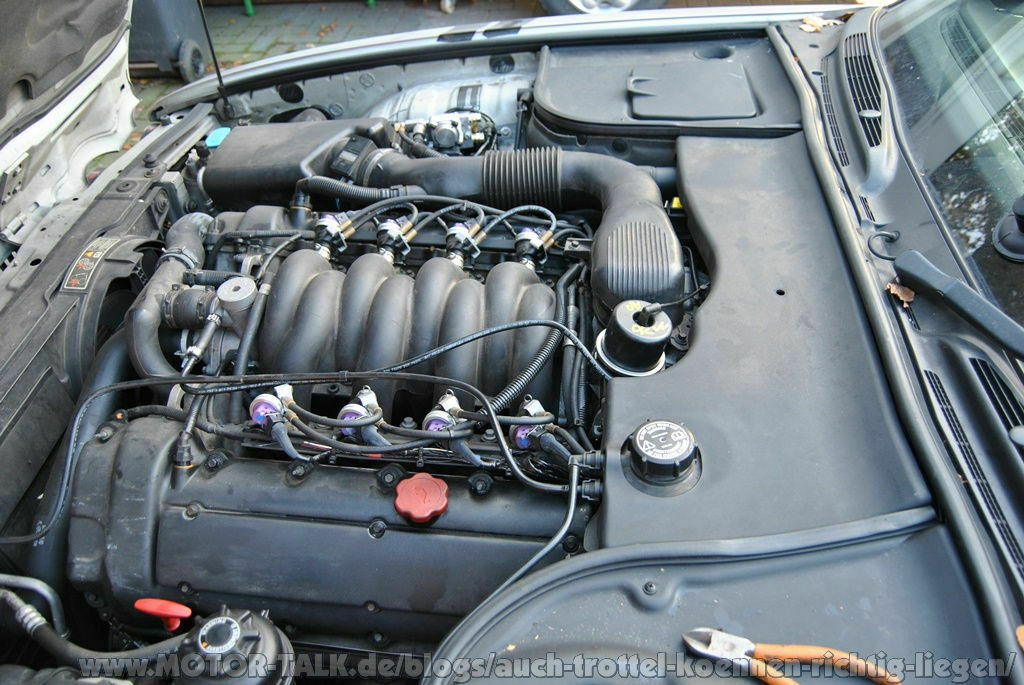 Rusty dem sein Wehwehchen