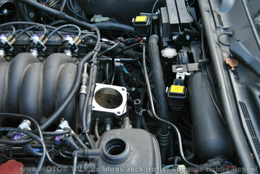 Rusty dem sein Wehwehchen