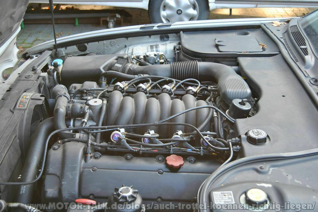 Rusty dem sein Wehwehchen