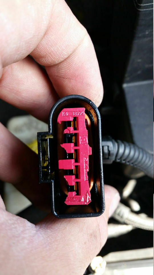 Was habt Ihr heute alles gutes für Euren Golf 4 getan?