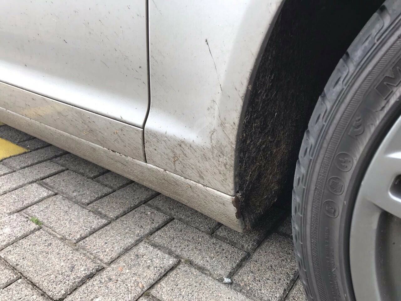 [Allgemeine Kaufberatung]...4F alle Modelle und Motoren