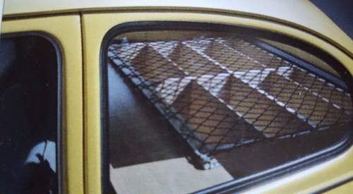 13051638-257805447902165-6303449798594275163-n