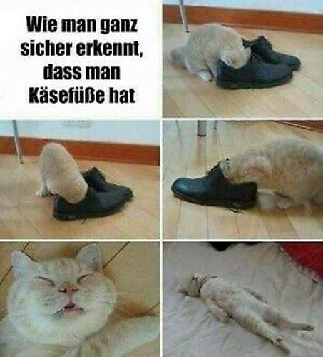 Funpot0000100374-x300-y000