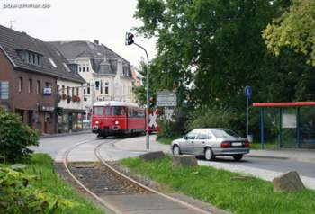 Luelsdorf3