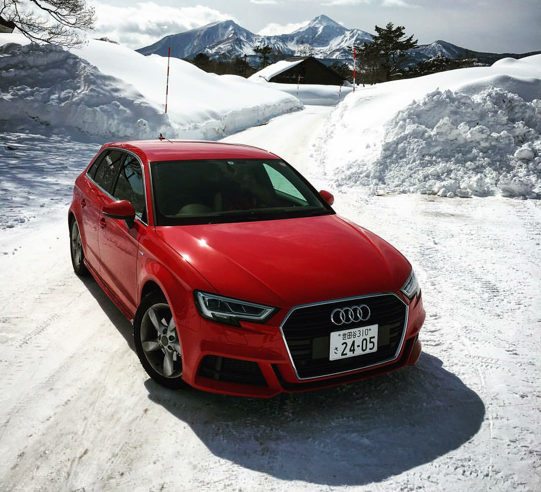 Facelift (A3, S3, RS3)