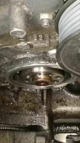 1491911408701-1802866519