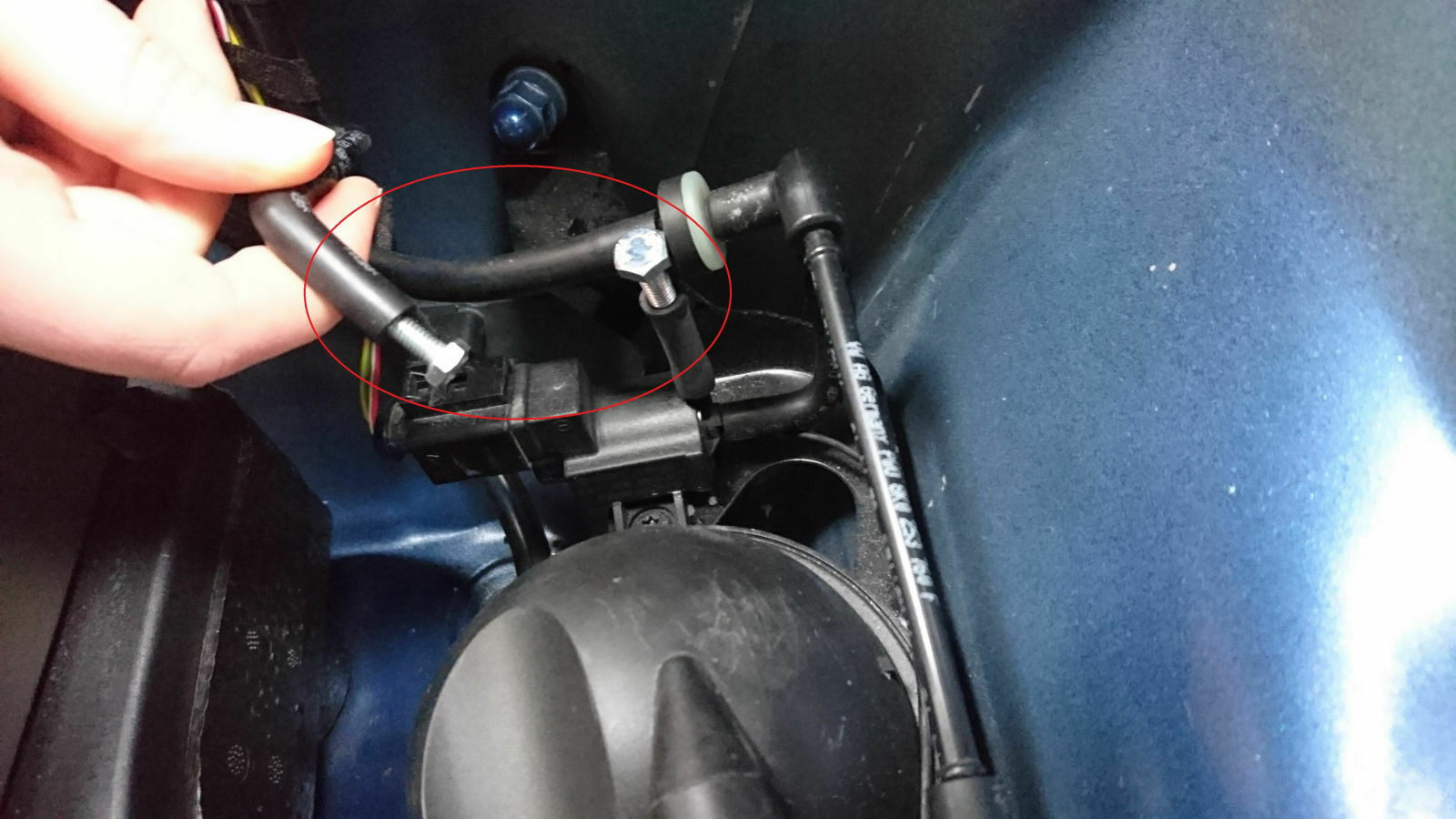 Audi RS5 Klappensteuerung des ESD