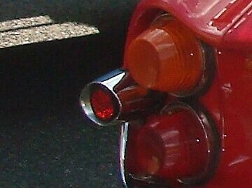 Wer bin ich? Das Exoten-raten