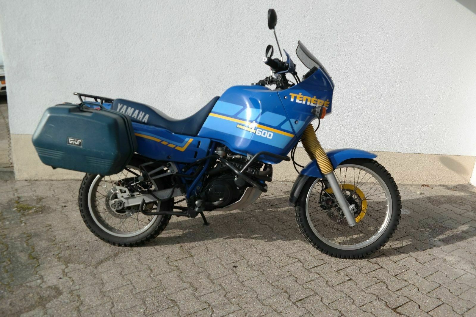 Wer hat schon Sauwetter?