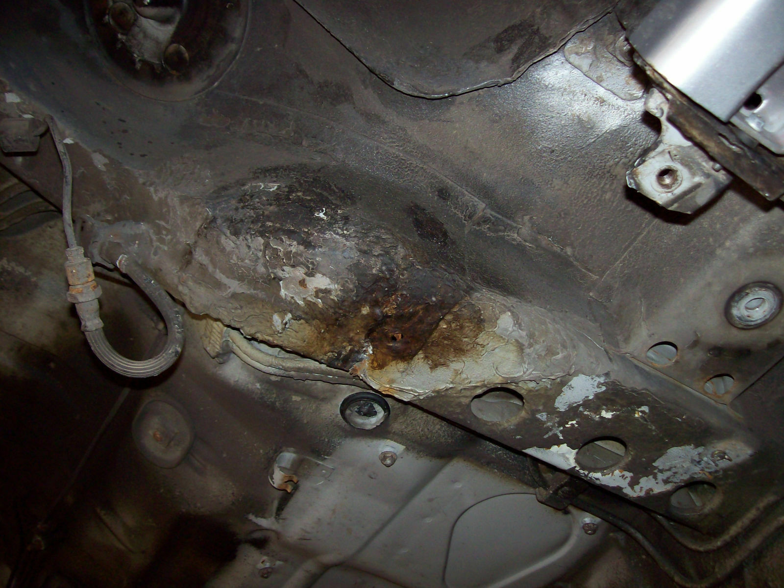 Was habt Ihr heute alles Gutes für Euren Omega & Senator getan?