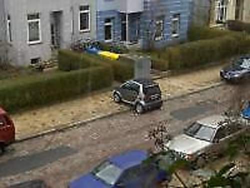 Scheisse-parken-7021014349940874449