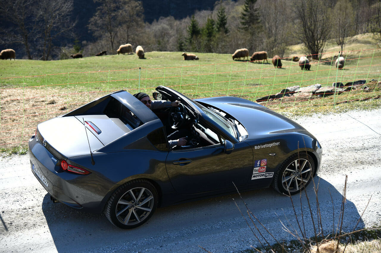 Mehr Schafe als Menschen zu sehen