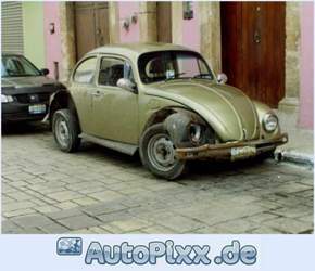Vw-kaefer-rostlaube