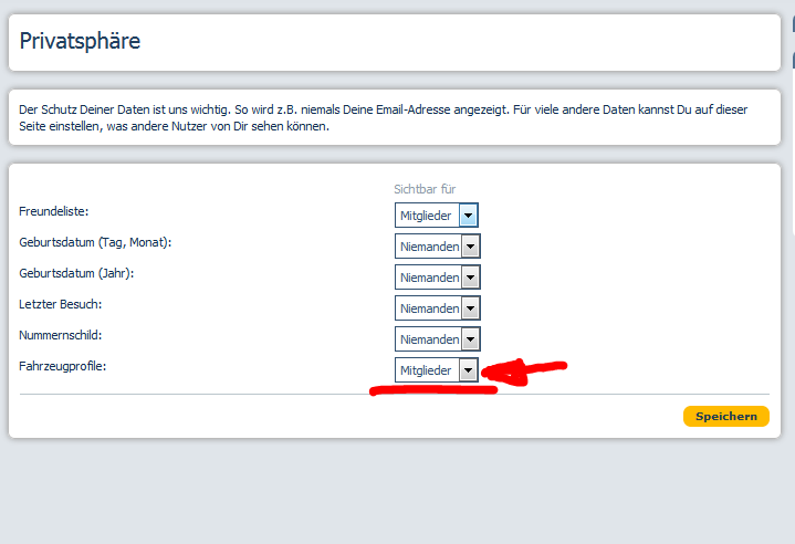 Elektrik Fehlermeldung plus Servo ausgefallen, V70 2.4