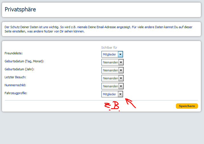 Elektrik Fehlermeldung plus Servo ausgefallen, V70 2.4