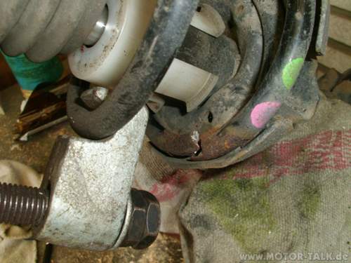 24-rost-an-der-feder