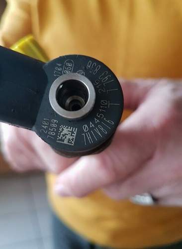 29345562-362075834305863-1355342744-n