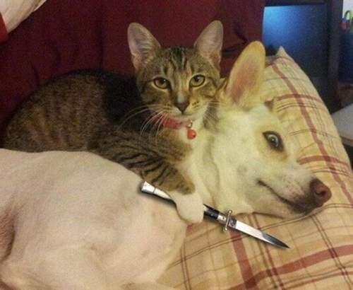 8463ef91-8fda-4174-83f1-b7844a368da1