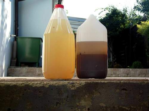 21083045-1836025193379671-3971719698394633391-o