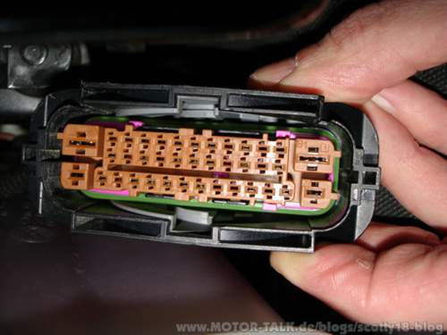 Dsc01683-2257132191436492453