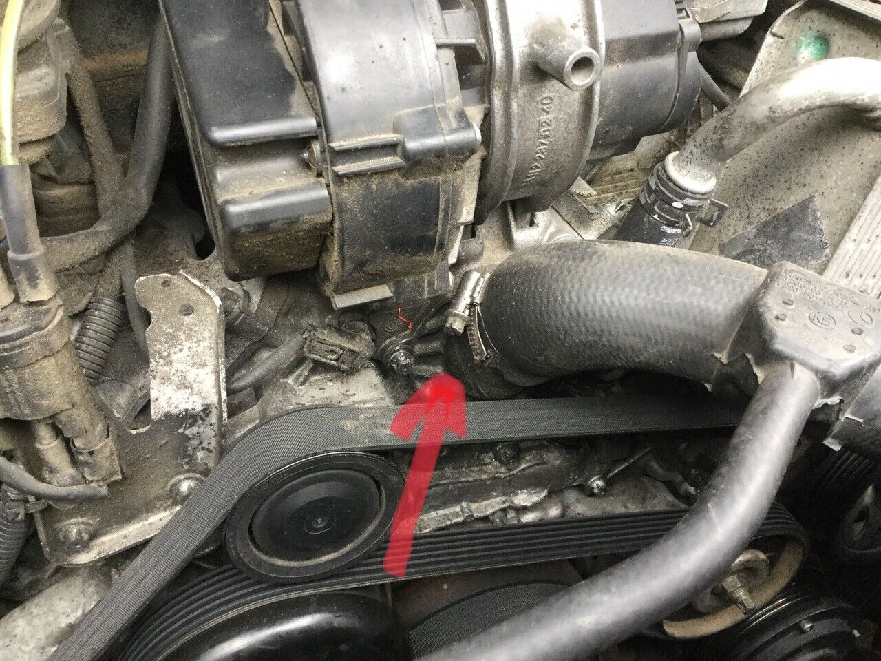 320er mit komischen Geräuschen aus dem Motor