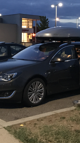 1994a668-ed08-4a59-84e8-589ca75db853