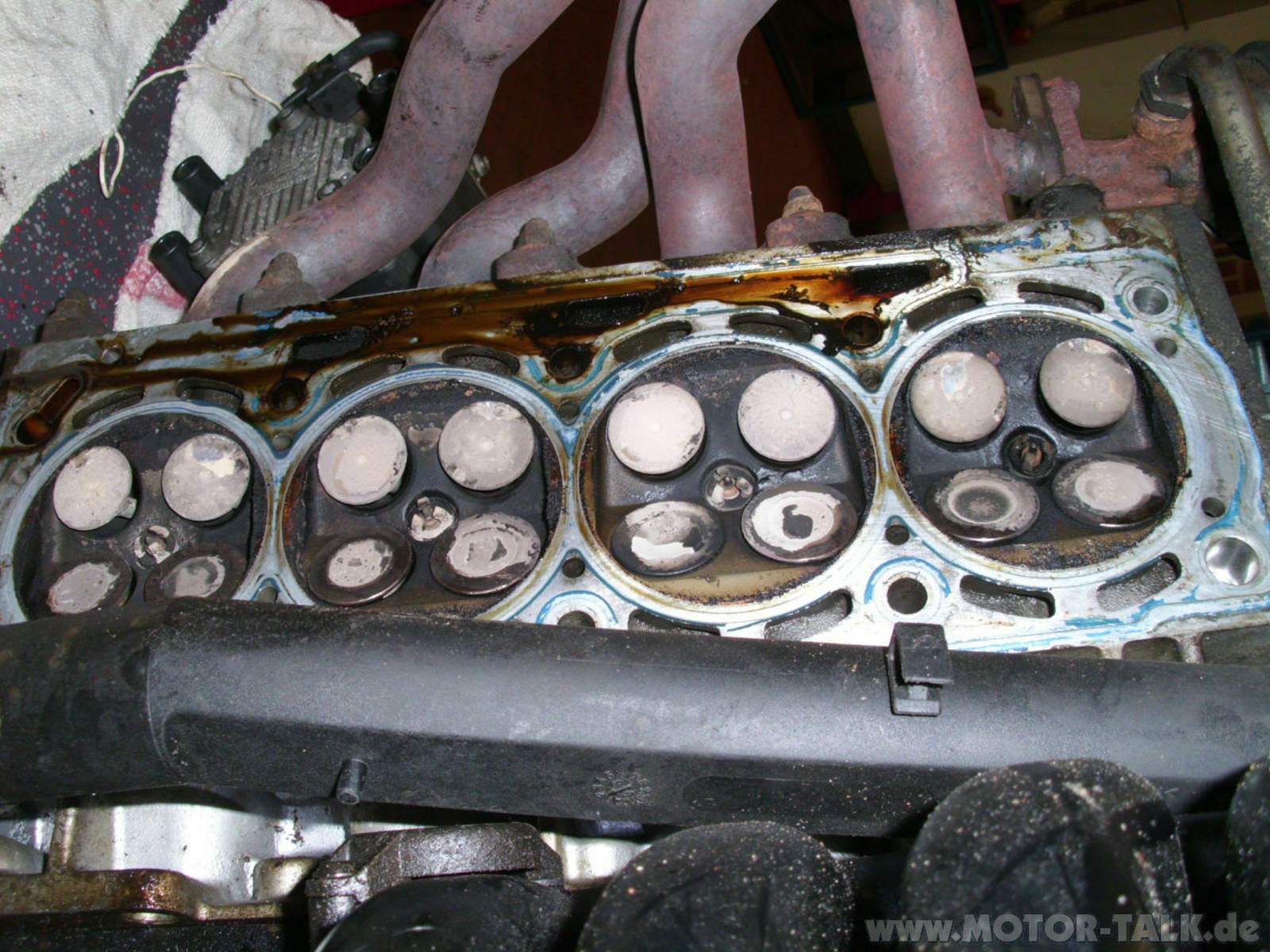 22krummeventile Zahnriemen wechsel intervall 1,4 16v VW Polo 4