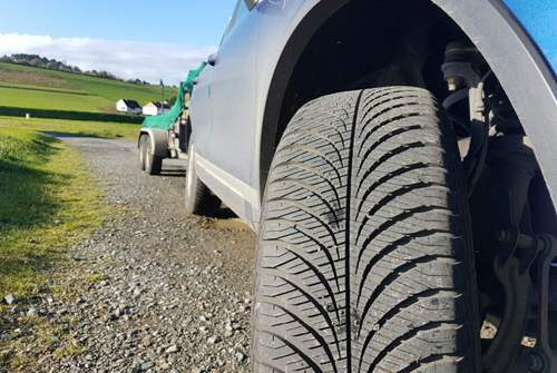 Ein sch&ouml;ner Blick auf das Profil von Marcell