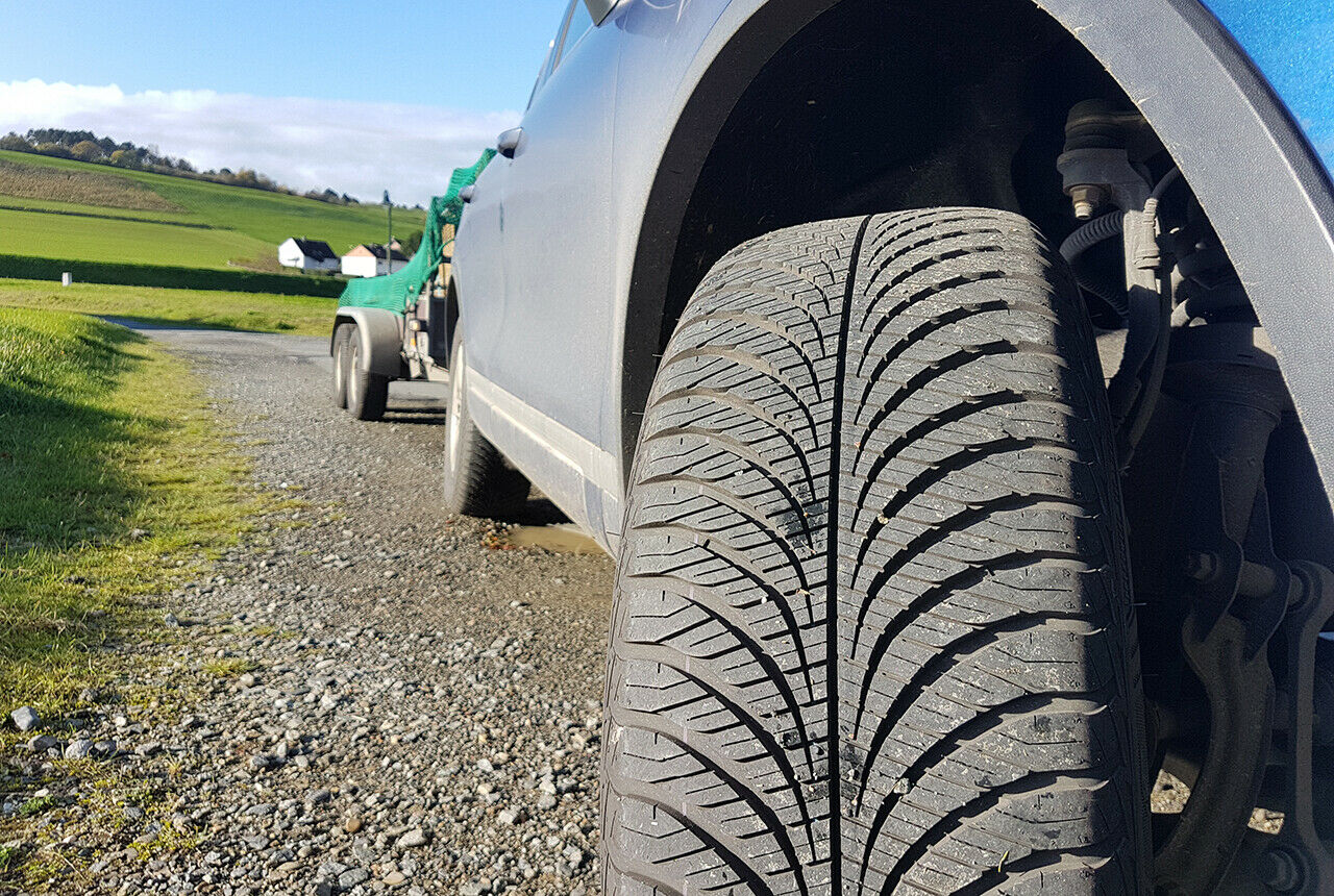 Ein sch&ouml;ner Blick auf das Profil von Marcell