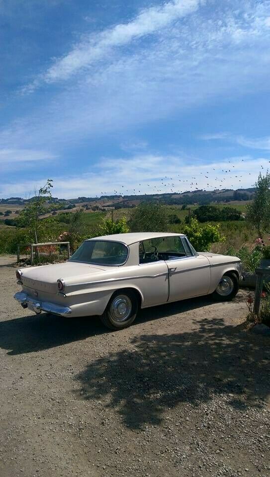 11692478-10207373515363255-5038662891181492787-n