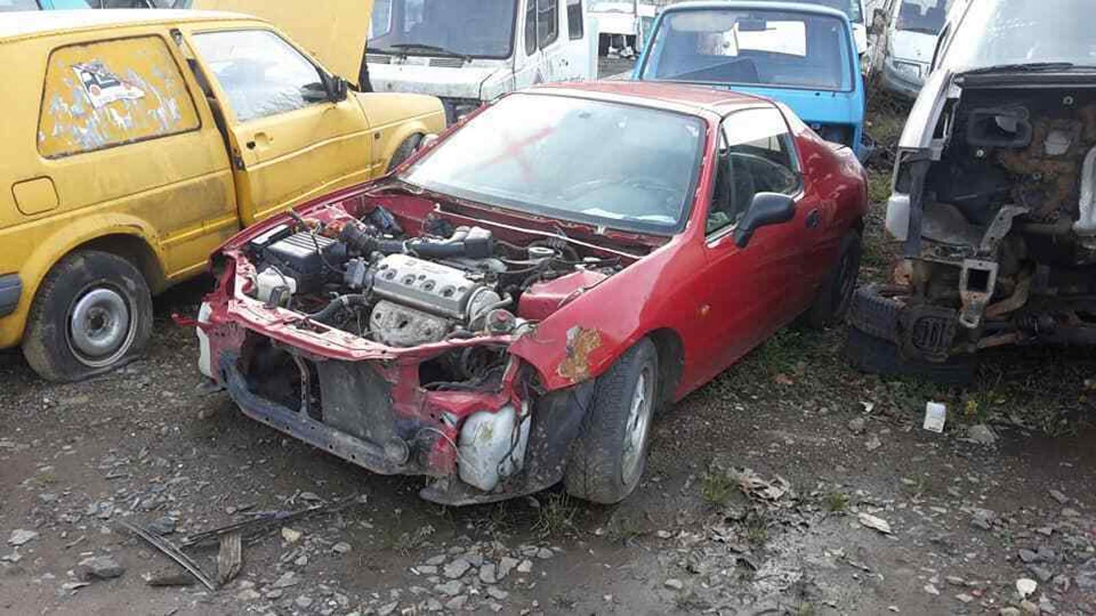 23795120-699830366886978-2168047861329330457-n