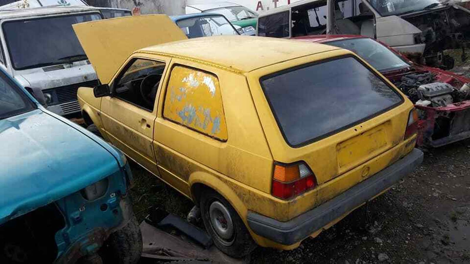 23843439-699830416886973-3201853667802297836-n